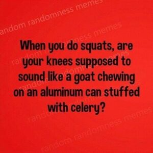 Stupid Bar Memes ce99584a9b9ba788