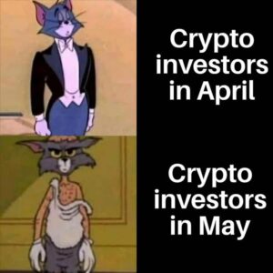 Stupid Bar Memes cryptobinvestorbmemes