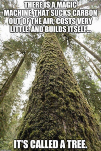 Stupid Bar Memes d29370b1733a778c