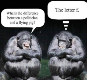 Stupid Bar Memes d68f3657adc80ff4
