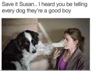Stupid Bar Memes d7261da46937670e