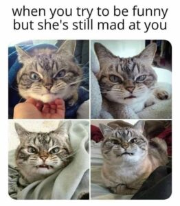Stupid Bar Memes da035136a833040e