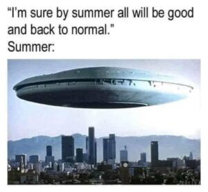 Stupid Bar Memes daa1e1c83c857e4a
