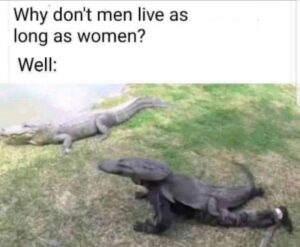 Stupid Bar Memes e5c21fc4a4f2c02e60a1a015efd116a8
