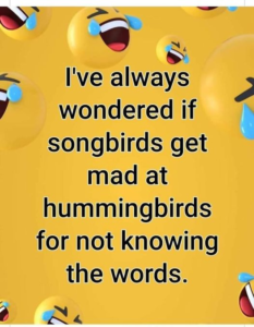 Stupid Bar Memes e90b8f97cdff57ed