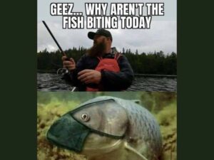 Stupid Bar Memes ea259dddc8304e23