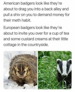 Stupid Bar Memes eb221d4e2271359b