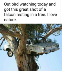 Stupid Bar Memes eedf67f9130d3127