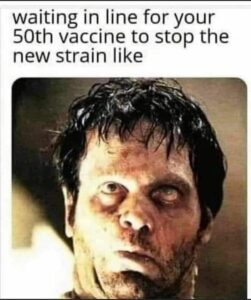 Stupid Bar Memes f26651ed99164915