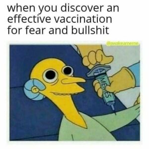 Stupid Bar Memes f51a017a4f0d13ac
