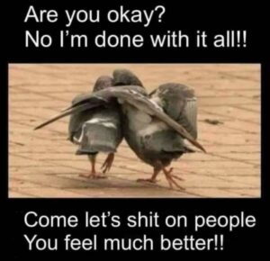 Stupid Bar Memes f5432875e2ee075e