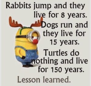 Stupid Bar Memes f9781c1cf10a1e39