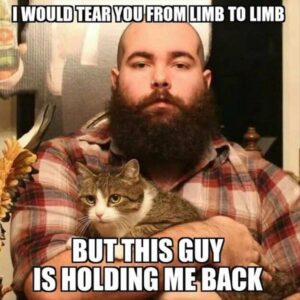 Stupid Bar Memes funny animals 10 10