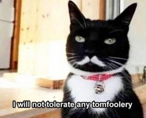 Stupid Bar Memes funny animals 12 10