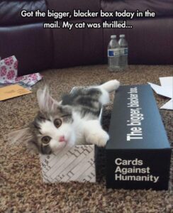 Stupid Bar Memes funny animals 9 8