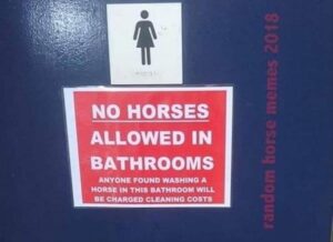 Stupid Bar Memes funny signs 1 4