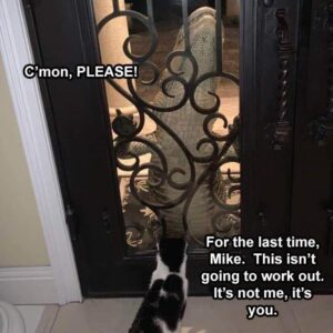 Stupid Bar Memes funnybanimalbssb16b1