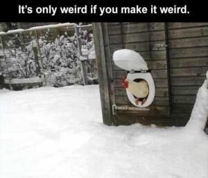 Stupid Bar Memes funnybanimalbssb2b1
