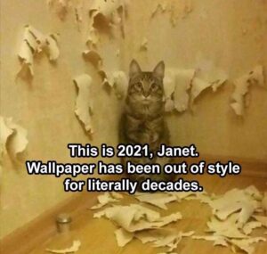 Stupid Bar Memes funnybanimalbssb3b1