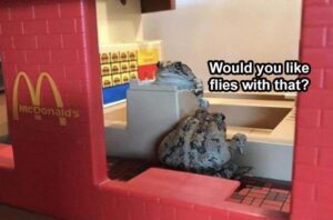 Stupid Bar Memes funnybanimalsb17b10