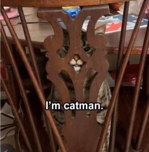 Stupid Bar Memes funnybanimalsb25