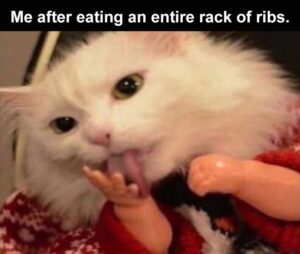 Stupid Bar Memes funnybmemesb4