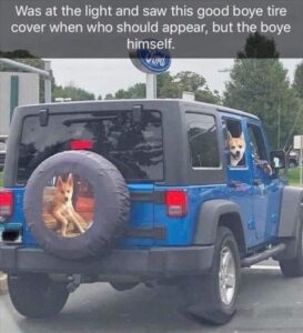 Stupid Bar Memes funnybsbssb2b2
