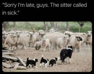 Stupid Bar Memes funnybsbssb6b2