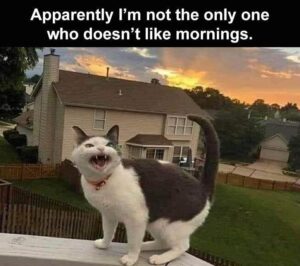 Stupid Bar Memes funnybssb18b2
