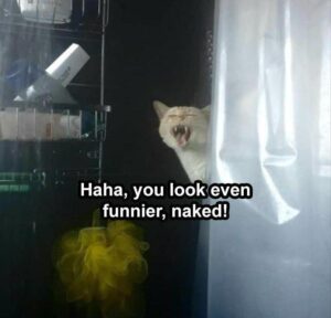 Stupid Bar Memes funnybssb20b2