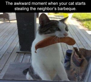 Stupid Bar Memes funnysbsmemess11s6