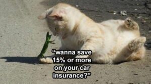 Stupid Bar Memes funnysbss16s5