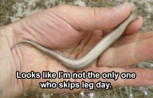 Stupid Bar Memes funnysbss1s5