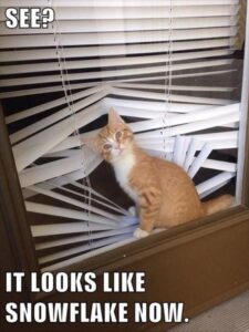 Stupid Bar Memes funnysbss22s6