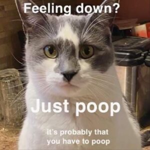 Stupid Bar Memes funnysbss27s3