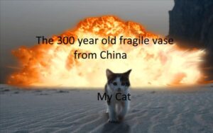 Stupid Bar Memes funnysbss2s5