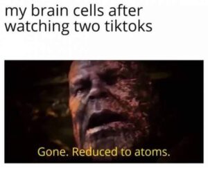Stupid Bar Memes funnyspicdumps640s23