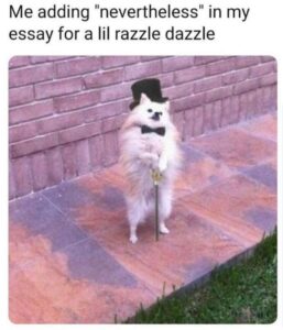 Stupid Bar Memes g3AJ2Ti