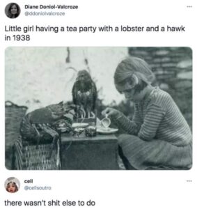 Stupid Bar Memes humor tweets2 2
