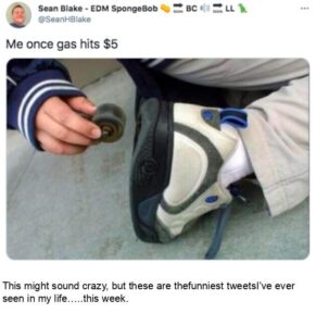 Stupid Bar Memes humorbtweets23b1