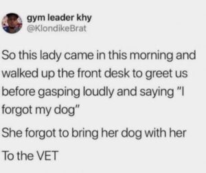 Stupid Bar Memes ihoq1zjpepz61