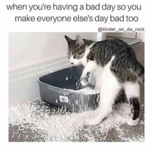 Stupid Bar Memes imagefromiosa4anO1Ao7