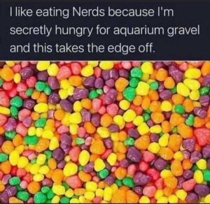 Stupid Bar Memes imagefromiosb23b95qQms