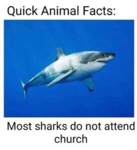 Stupid Bar Memes jesusbmemes12