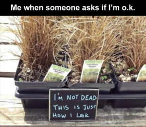 Stupid Bar Memes me when someone asks if Im ok