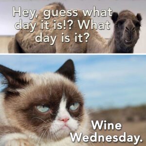 Stupid Bar Memes proxy image 10