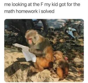 Stupid Bar Memes rjjQMzi