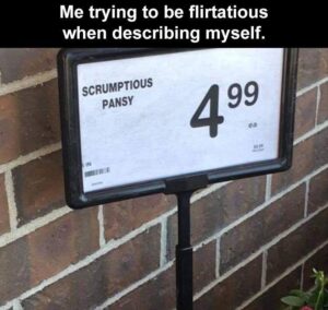 Stupid Bar Memes sb13b13
