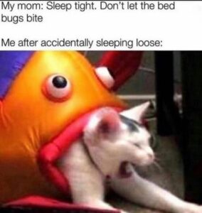 Stupid Bar Memes seCN3J0