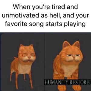 Stupid Bar Memes sgm4s2r4b8y61